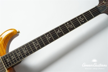 Modern Eagle II 25th Anniversary - Amber